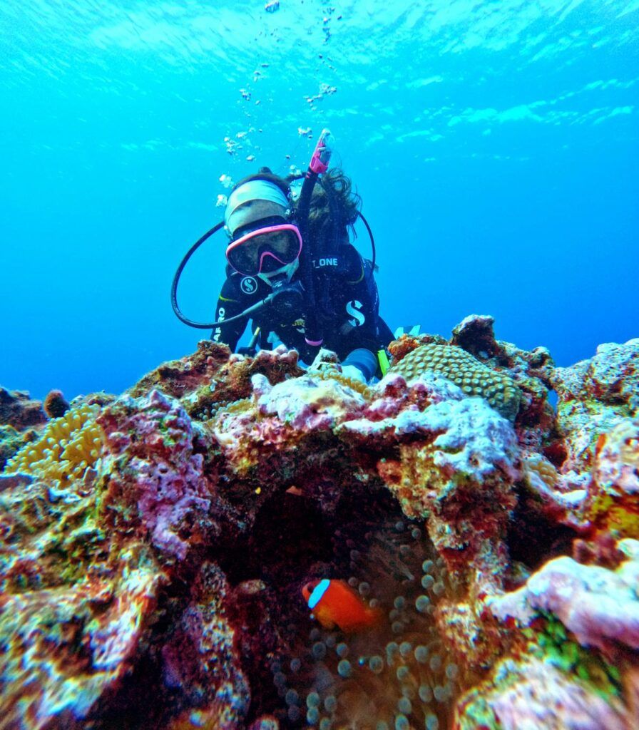 15 Best Things to Do in the Pacific Harbour & Beqa