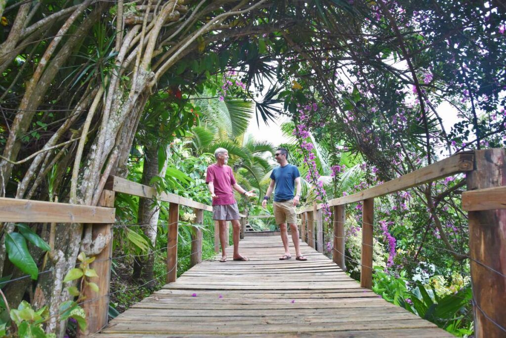 20 Best Things to Do in Vanua Levu
