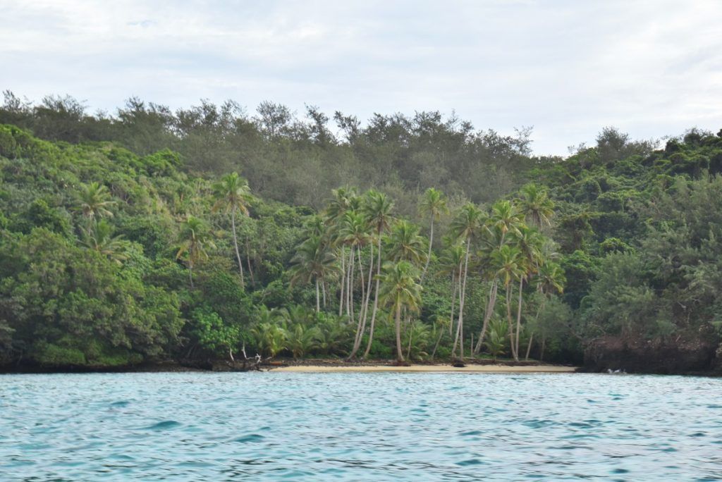 16 Best Things to Do in Kadavu