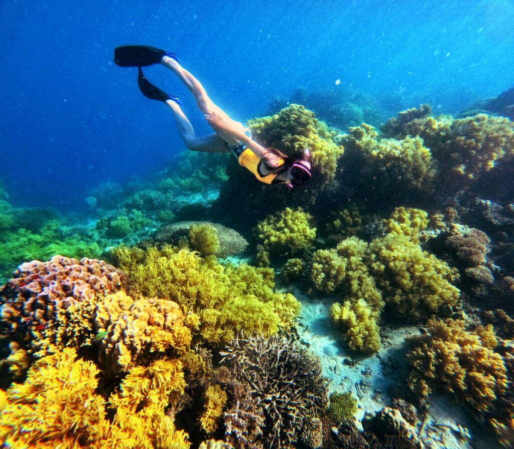 24 Best Things to Do in Taveuni