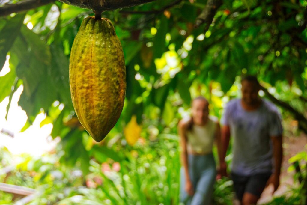 20 Best Things to Do in Vanua Levu