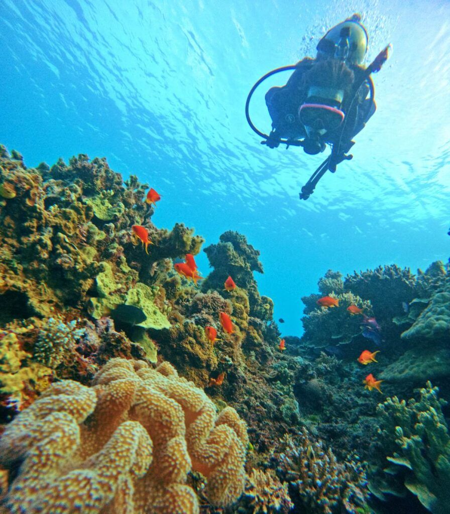 20 Best Things to Do in Vanua Levu