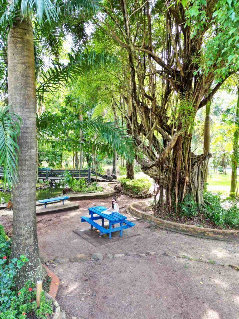 Fiji Budget Itinerary: 14 Days / Two Weeks