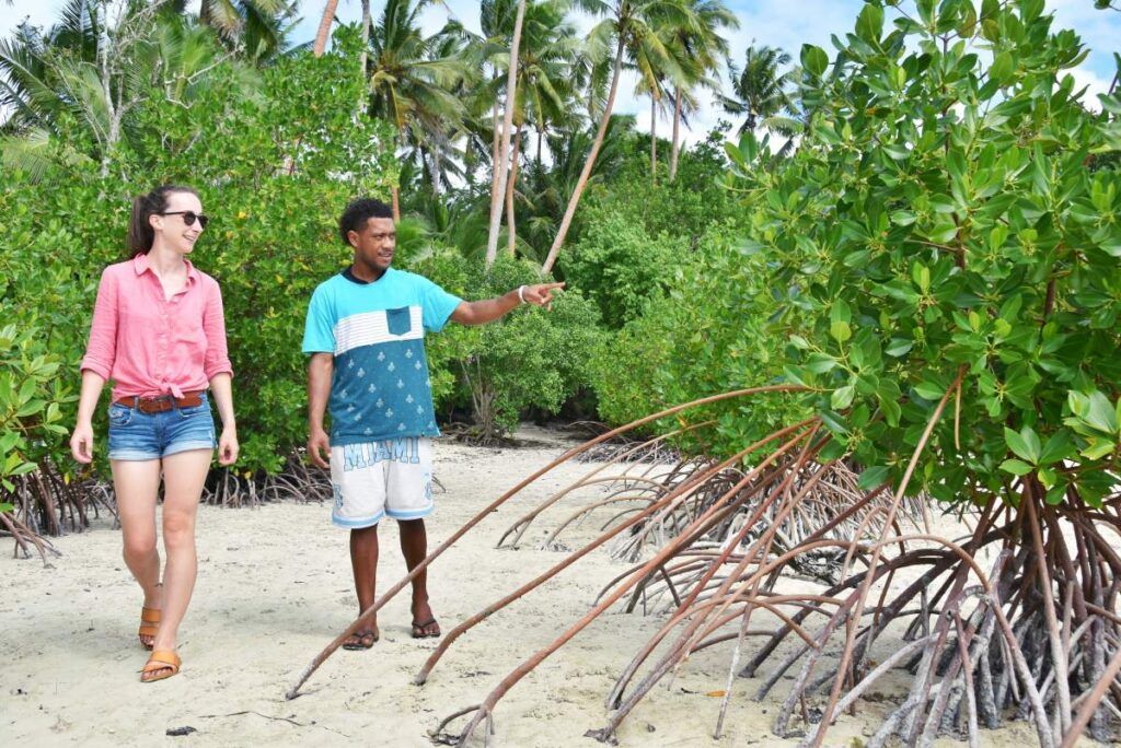 24 Best Things to Do in Taveuni