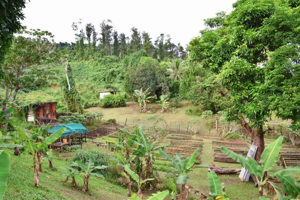 16 Best Things to Do in Kadavu
