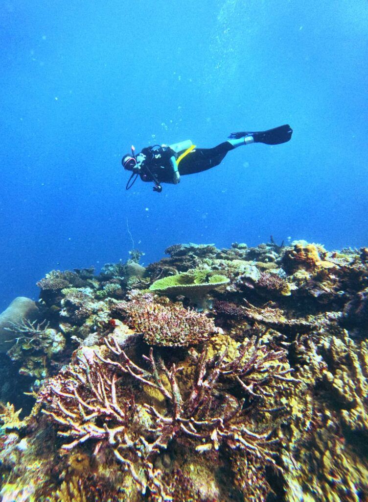 20 Best Things to Do in Vanua Levu