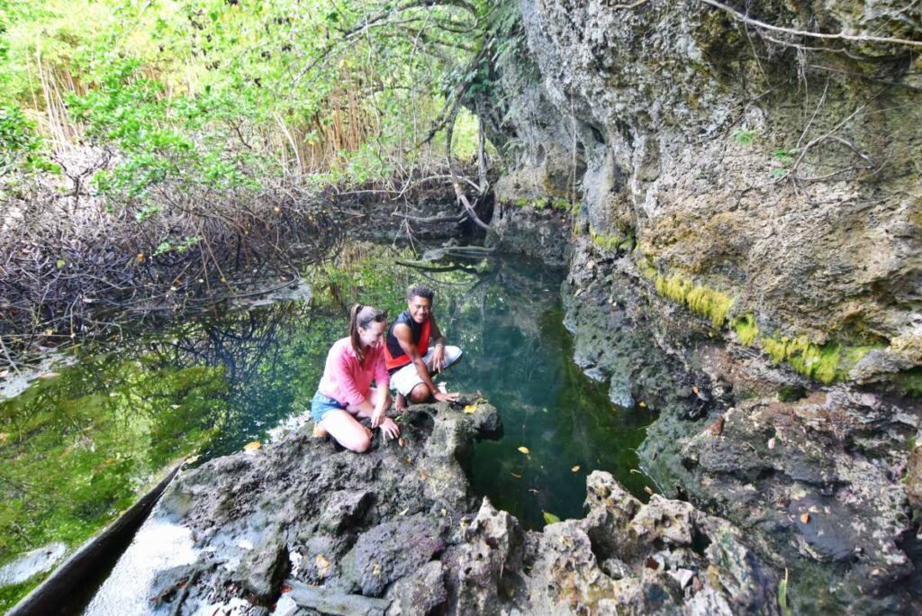 20 Best Things to Do in Vanua Levu