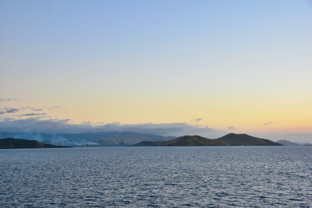 21 Best Things to Do on the Suncoast