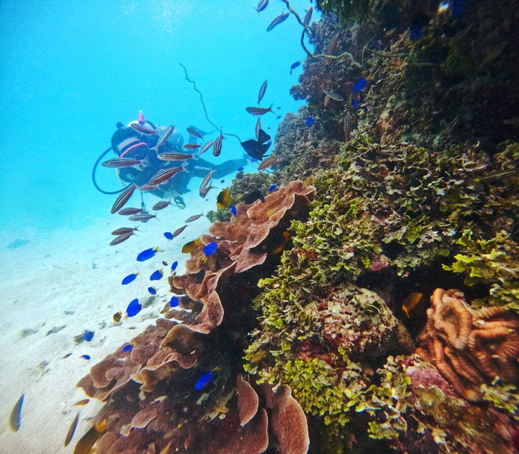15 Best Things to Do in the Lau Islands