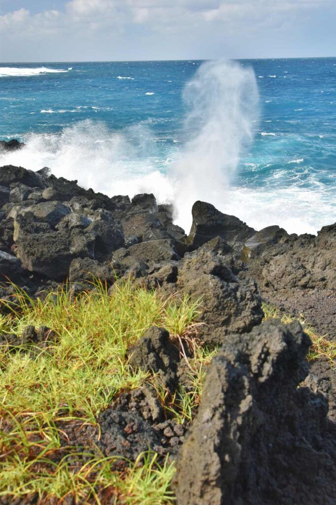 24 Best Things to Do in Taveuni