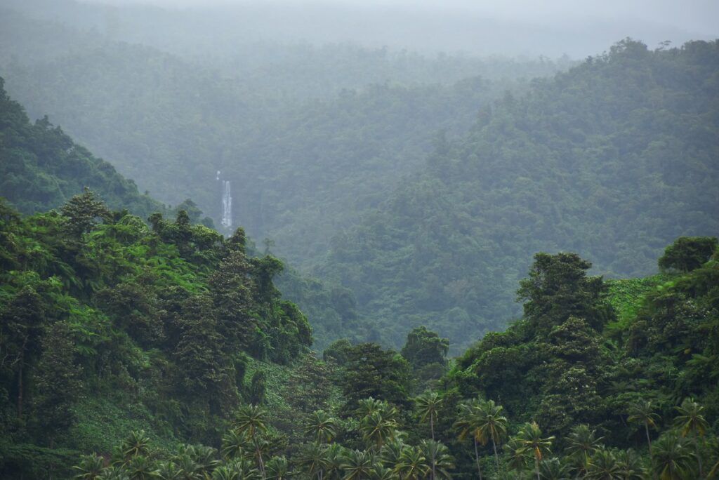 24 Best Things to Do in Taveuni