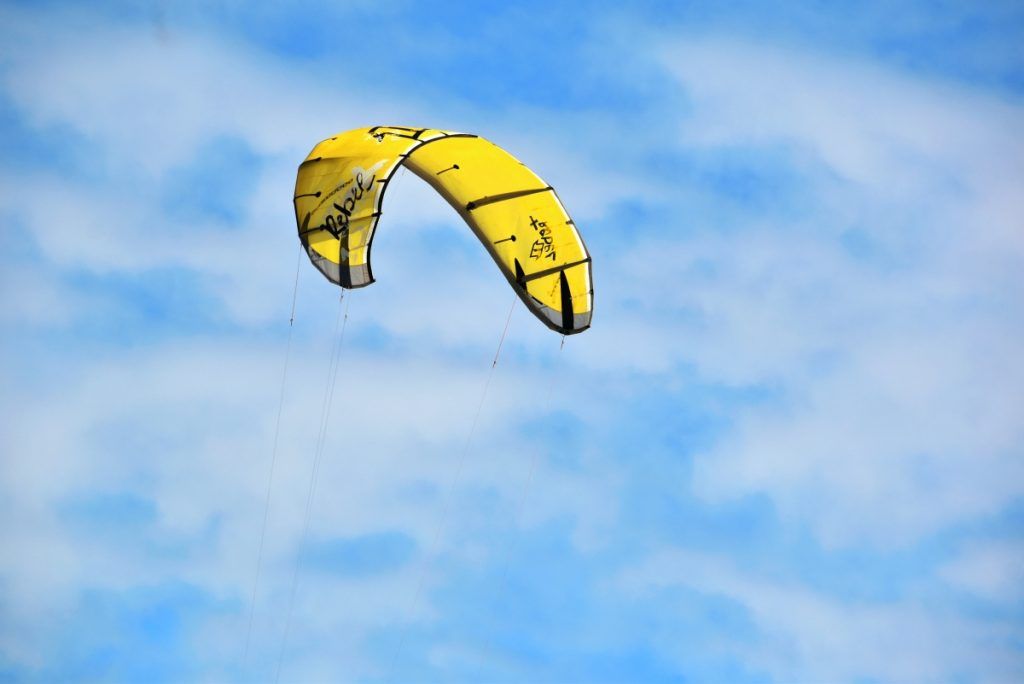 21 Best Things to Do on the Suncoast