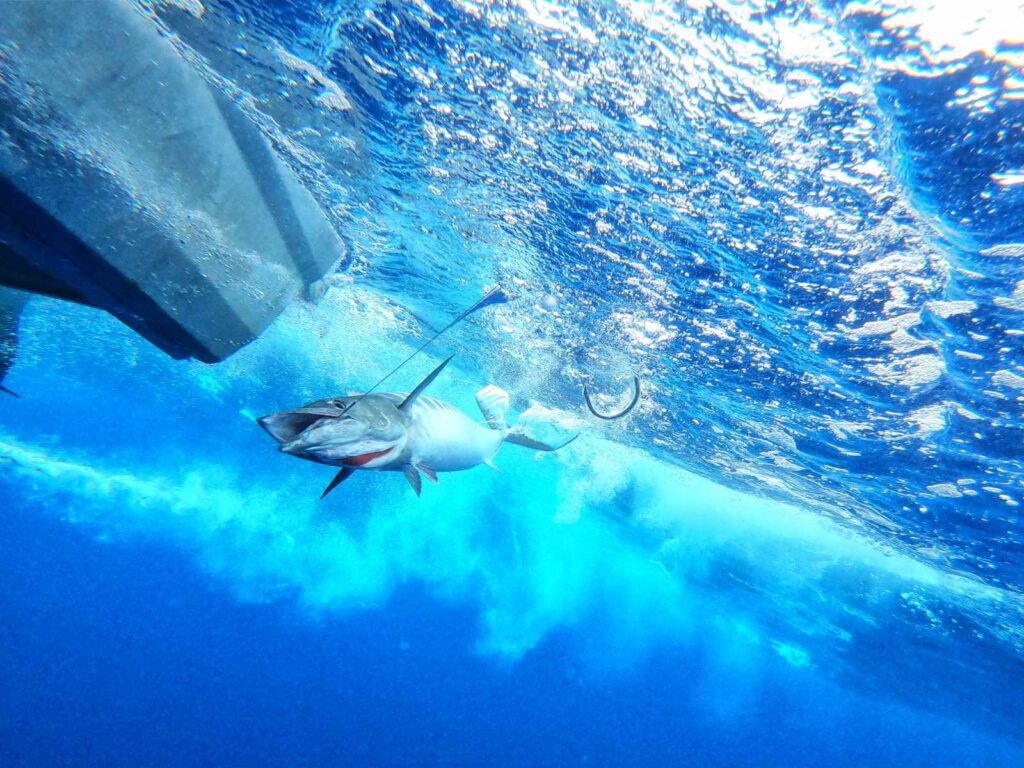 24 Best Things to Do in Taveuni