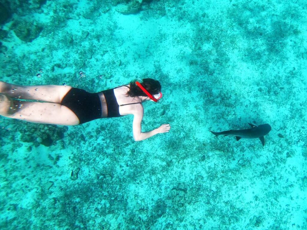 5 Best Places to See Sharks in Fiji