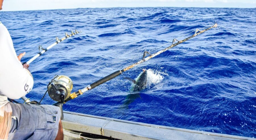 What is the Best Time of Year for Fishing in Fiji