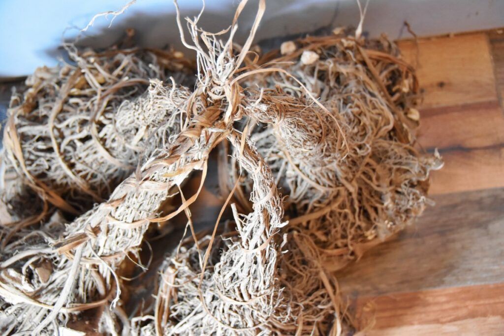 Fiji Village Etiquette: What to Do When Visiting a Fijian Village