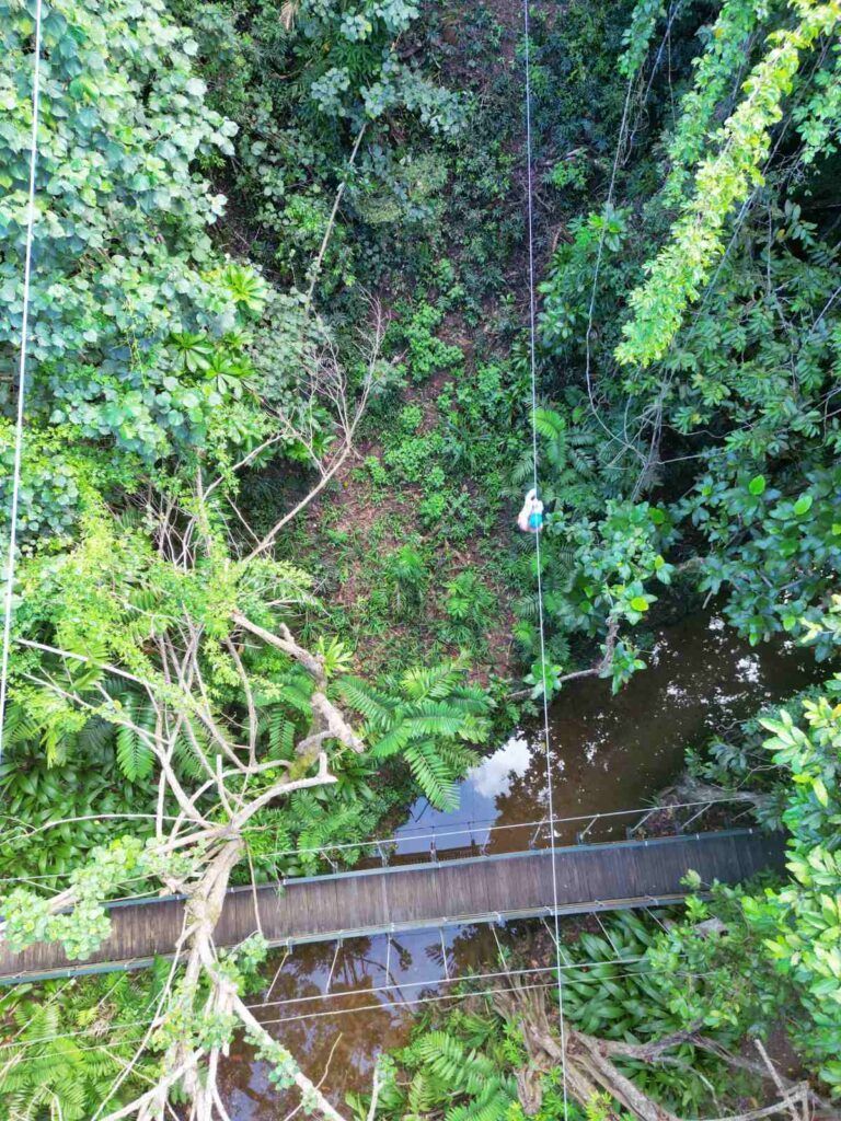 5 Best Zipline Tours in Fiji