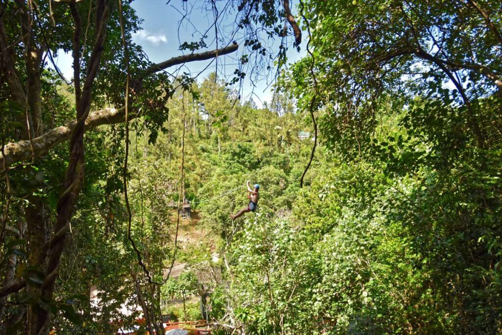 5 Best Zipline Tours in Fiji