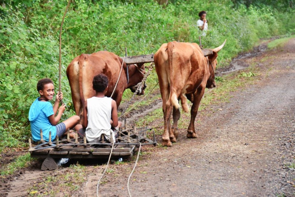 Who are the People of Fiji?