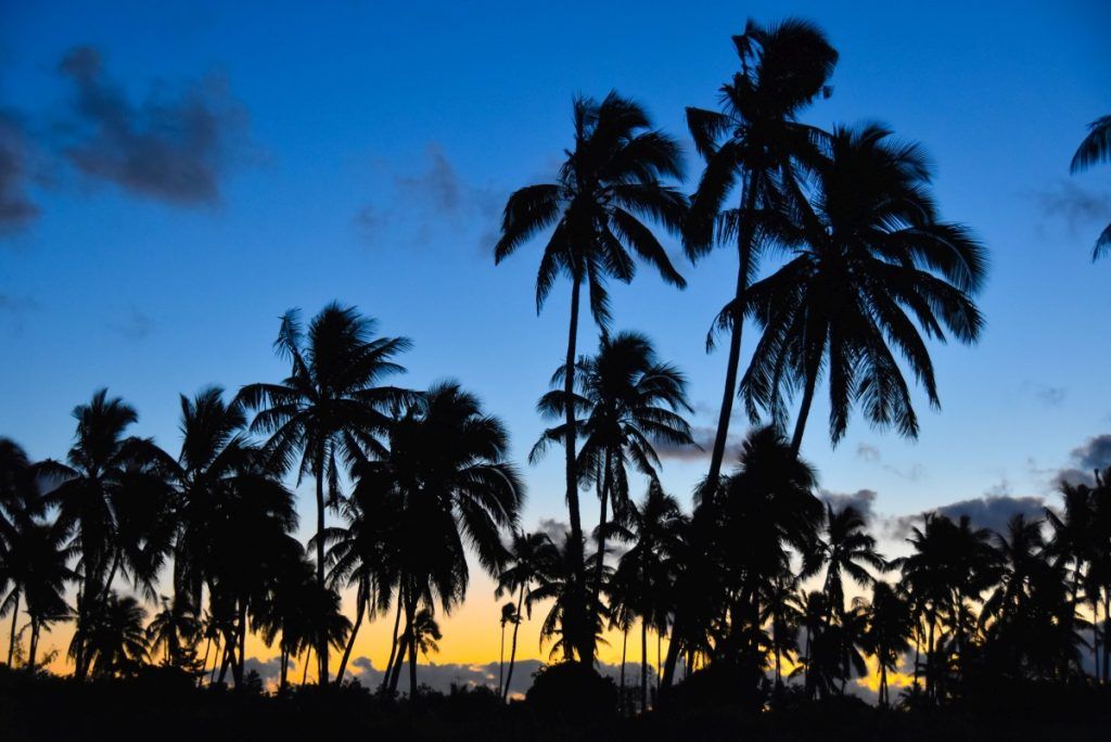 Fiji Weather in November