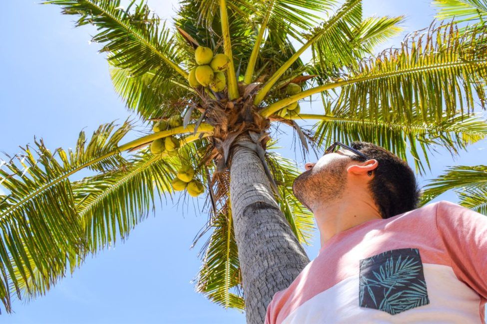 Weather in october in fiji