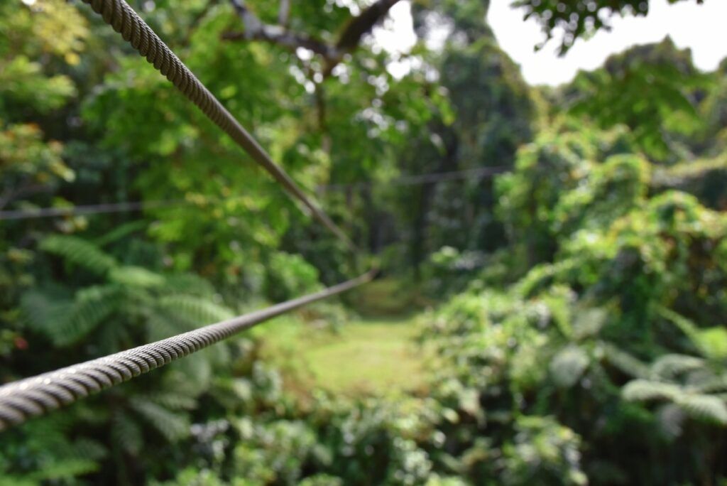 5 Best Zipline Tours in Fiji