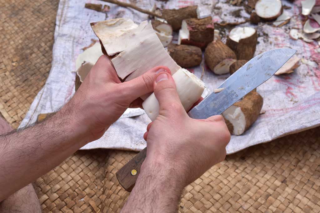 fijian-food