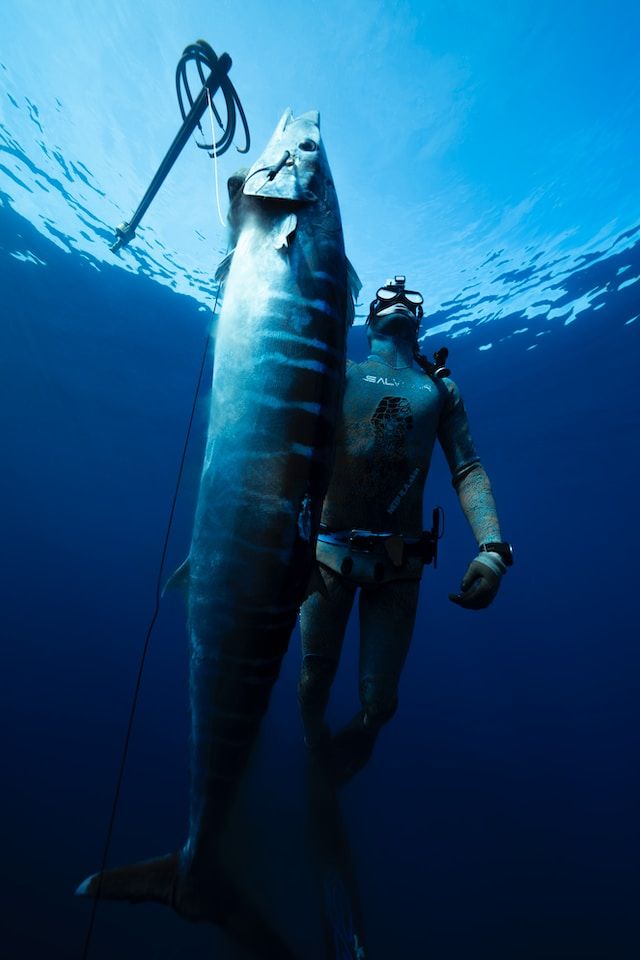 The Complete Guide to Spearfishing in Fiji
