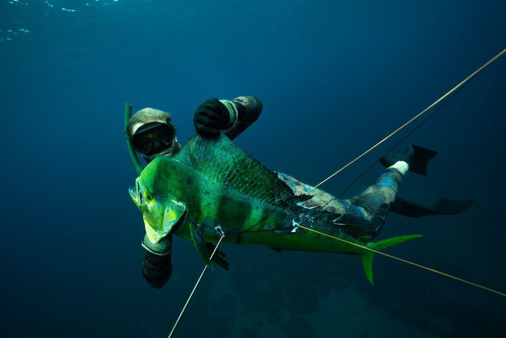 The Complete Guide to Spearfishing in Fiji