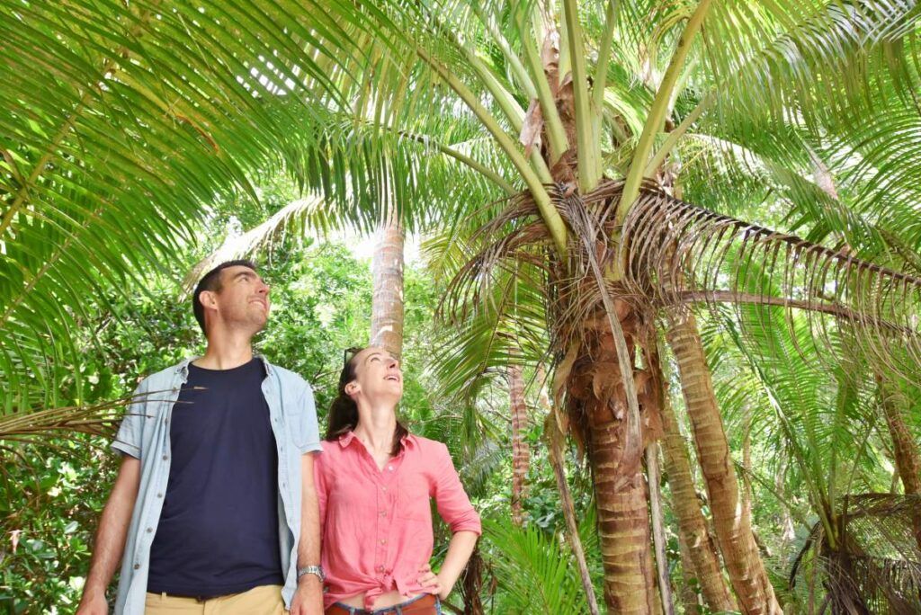 10 Romantic Activities in the Mamanuca Islands for Couples