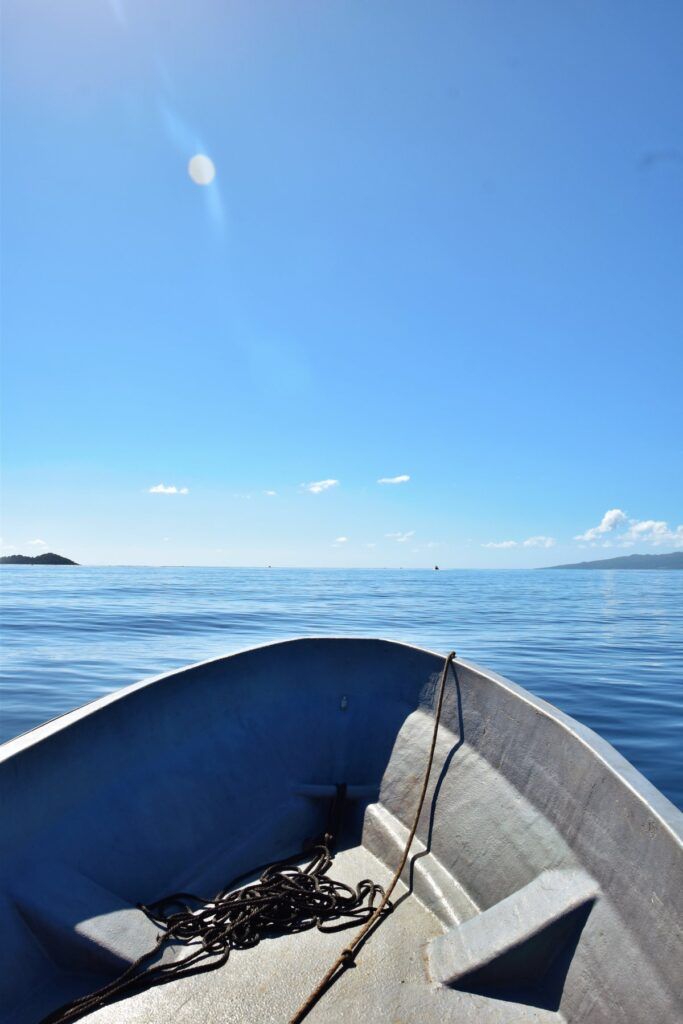 Pacific Harbour Transport Guide: 7 Ways to Get to the Pacific Harbour & Beqa