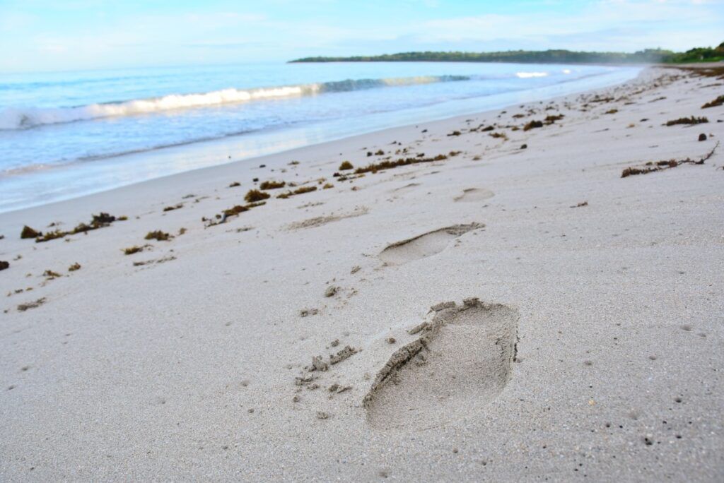 10 Things to Do in Nadi with Kids