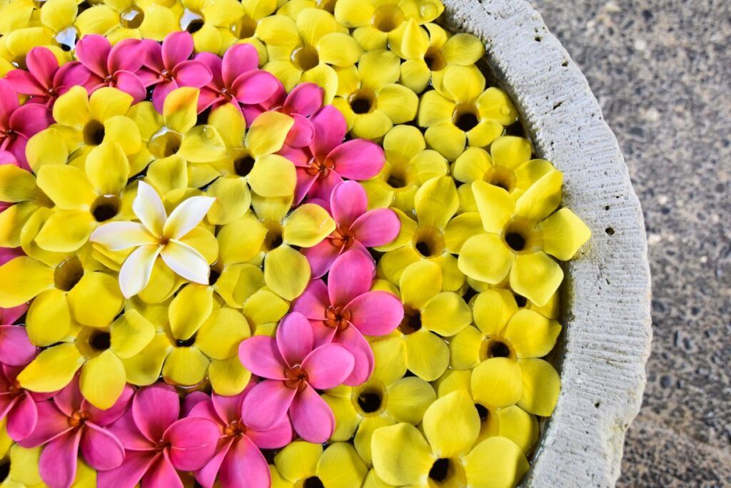 10 Best Spas on Denarau Island