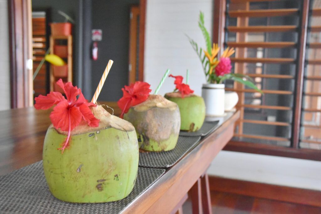 8 Drinks in Fiji You Have to Try