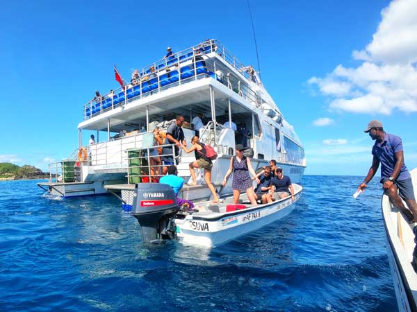 ferry-prices-fiji