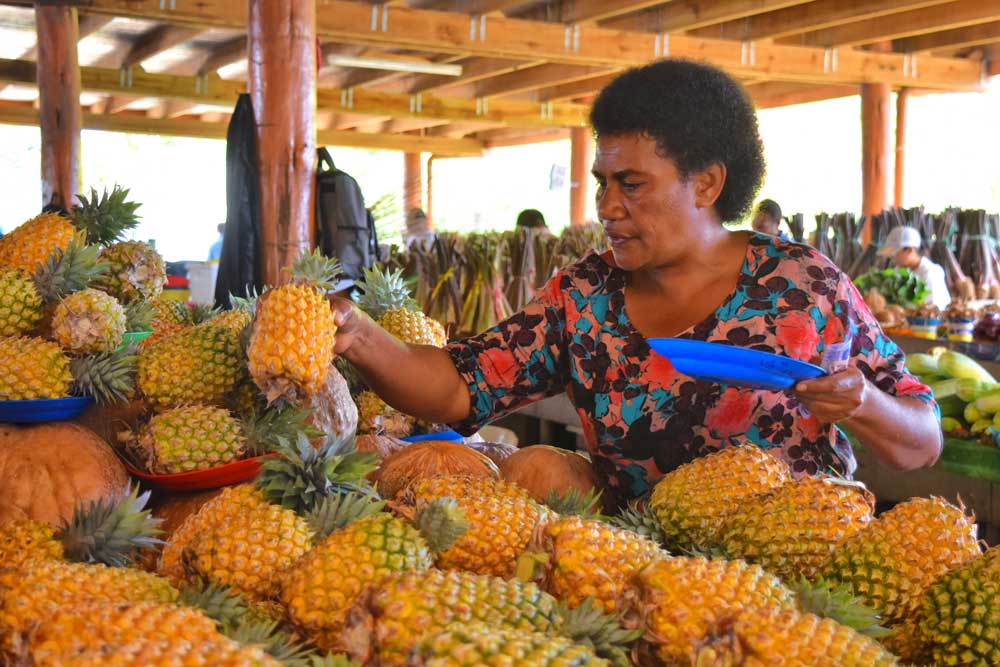 free-things-to-do-in-nadi-fiji