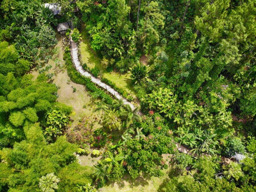 The Luxury Travel Guide to Nadi