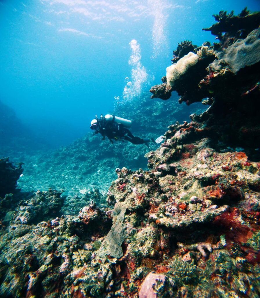 The Adults-Only Vacation Guide to the Pacific Harbour & Beqa