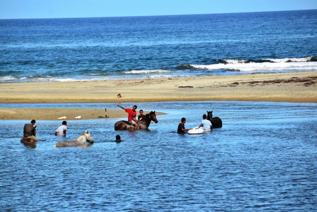 10 Romantic Activities on the Coral Coast for Couples