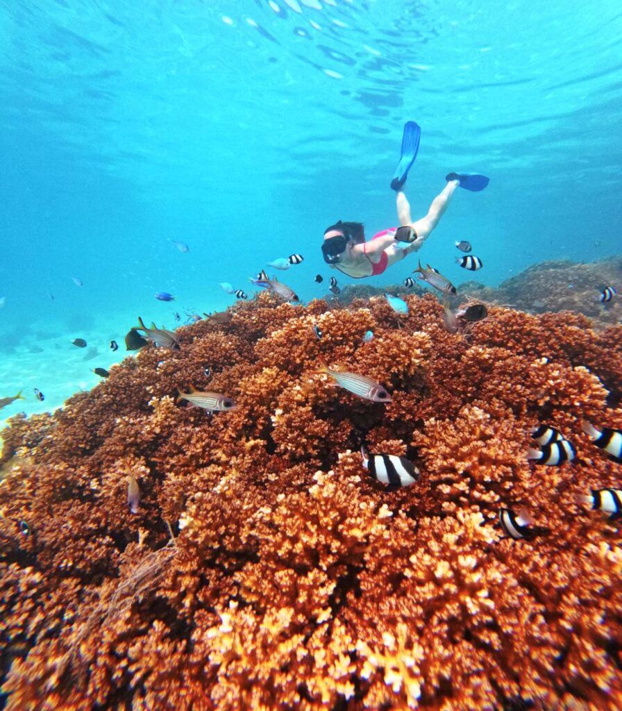 The Travel Guide to Beqa & Pacific Harbour on a Budget