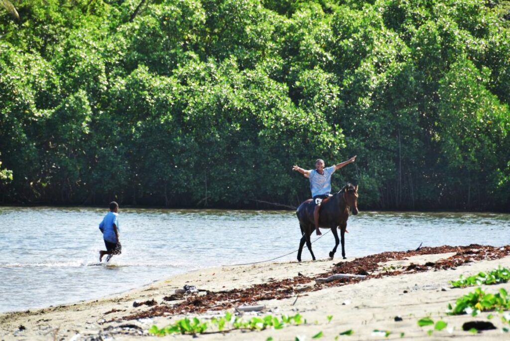 10 Things to Do on the Coral Coast with Kids
