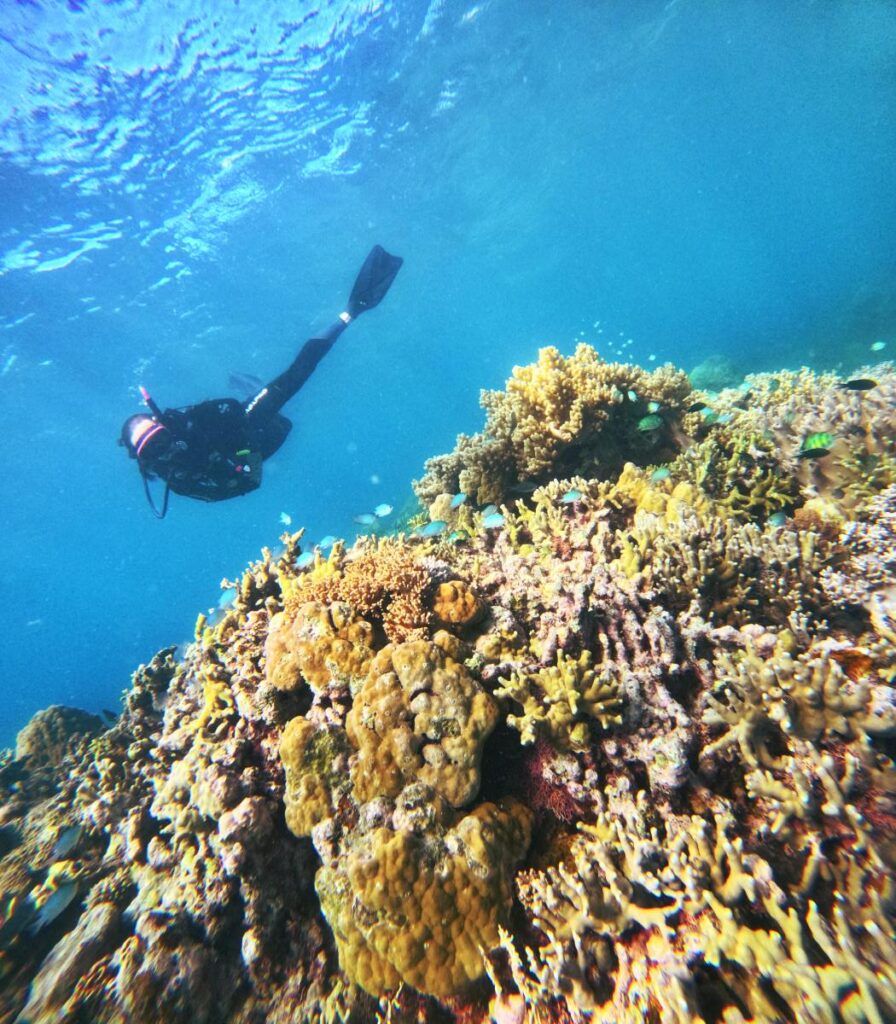 10 Things to Do in the Mamanuca Islands with Kids