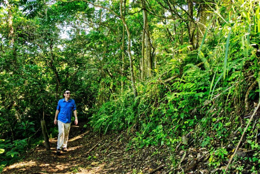 10 Free & Cheap Things to Do on the Coral Coast