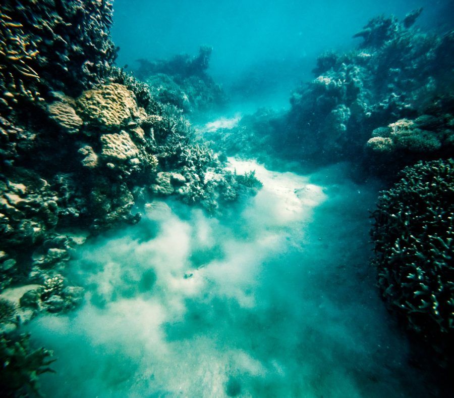 10 Luxury Activities on the Suncoast