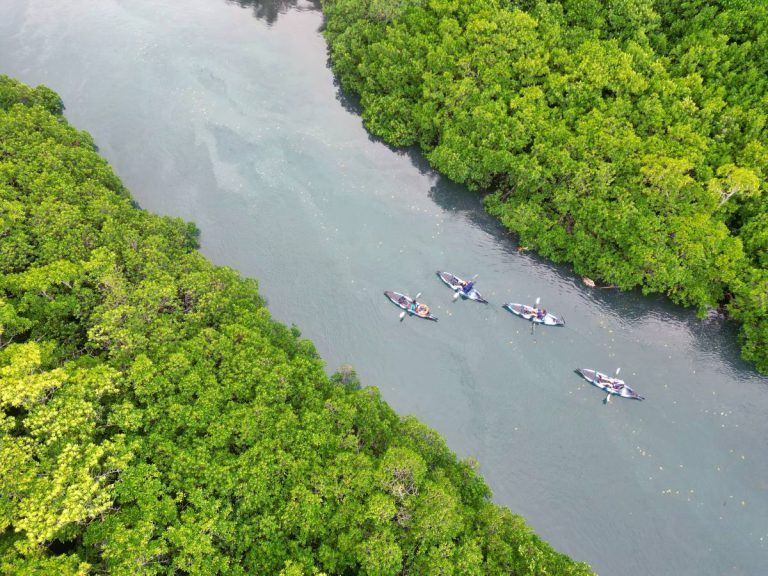 10 Things to Do in Vanua Levu with Kids
