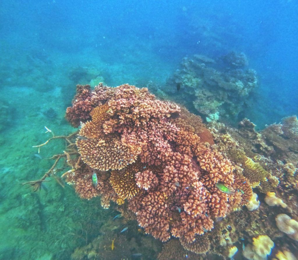 10 Things to Do in Vanua Levu with Kids