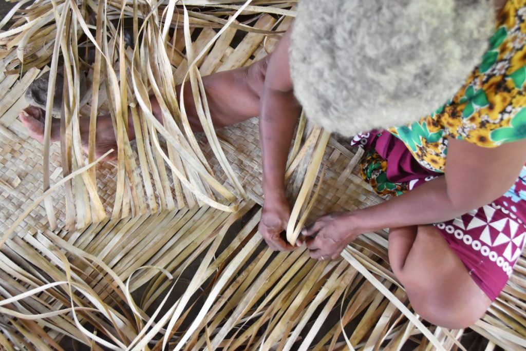 10 Things to Do in Vanua Levu with Kids