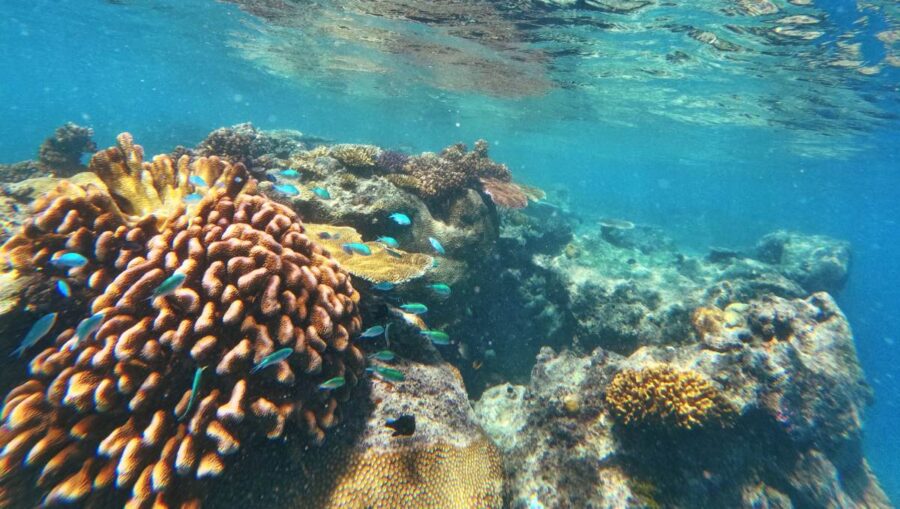 Fiji Adult-Only Itinerary: 3 Days / Weekend