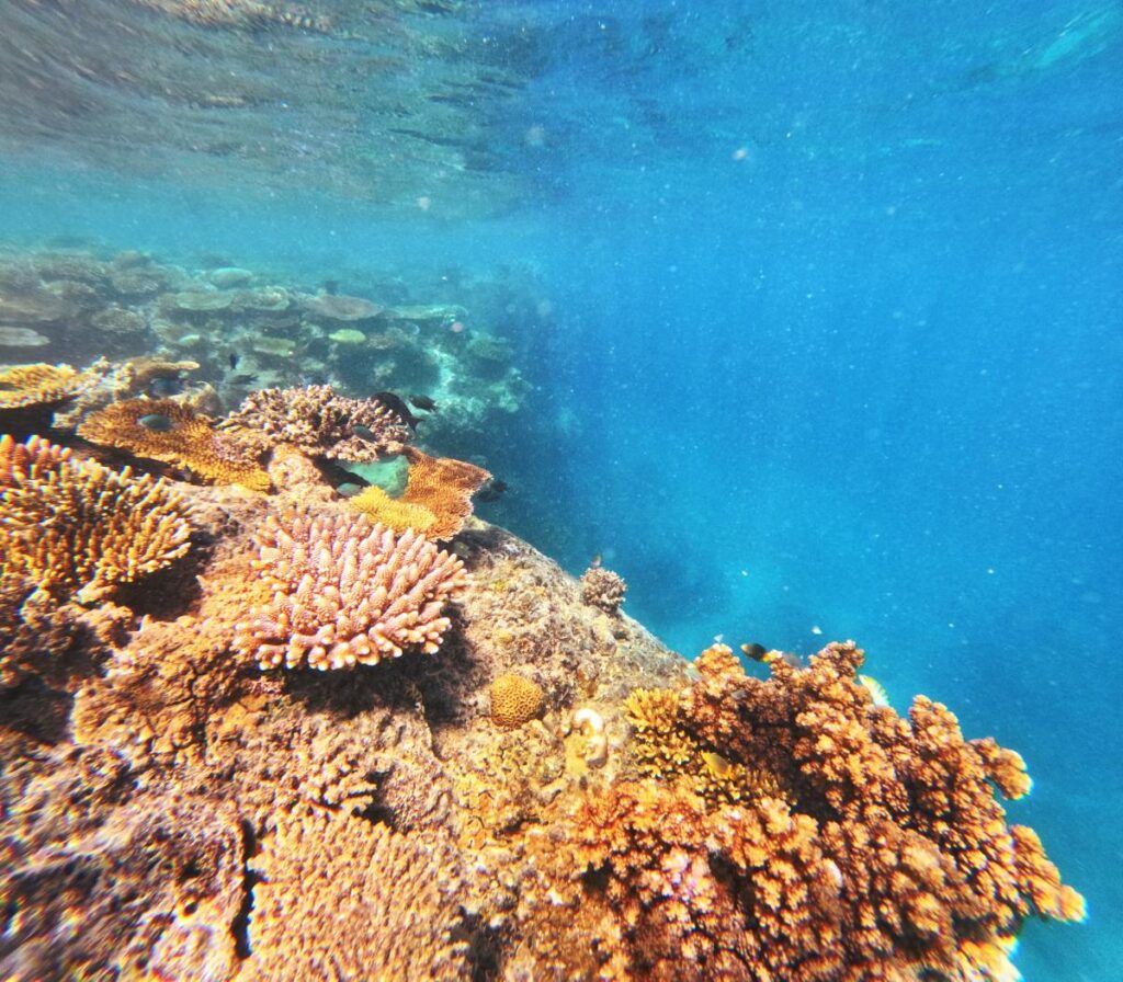 Fiji Adult-Only Itinerary: 3 Days / Weekend