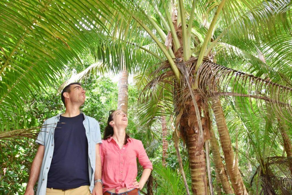 10 Romantic Activities in Kadavu for Couples